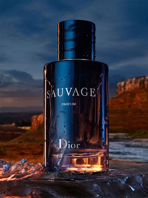 parfum sauvage von dior|dior sauvage best price.